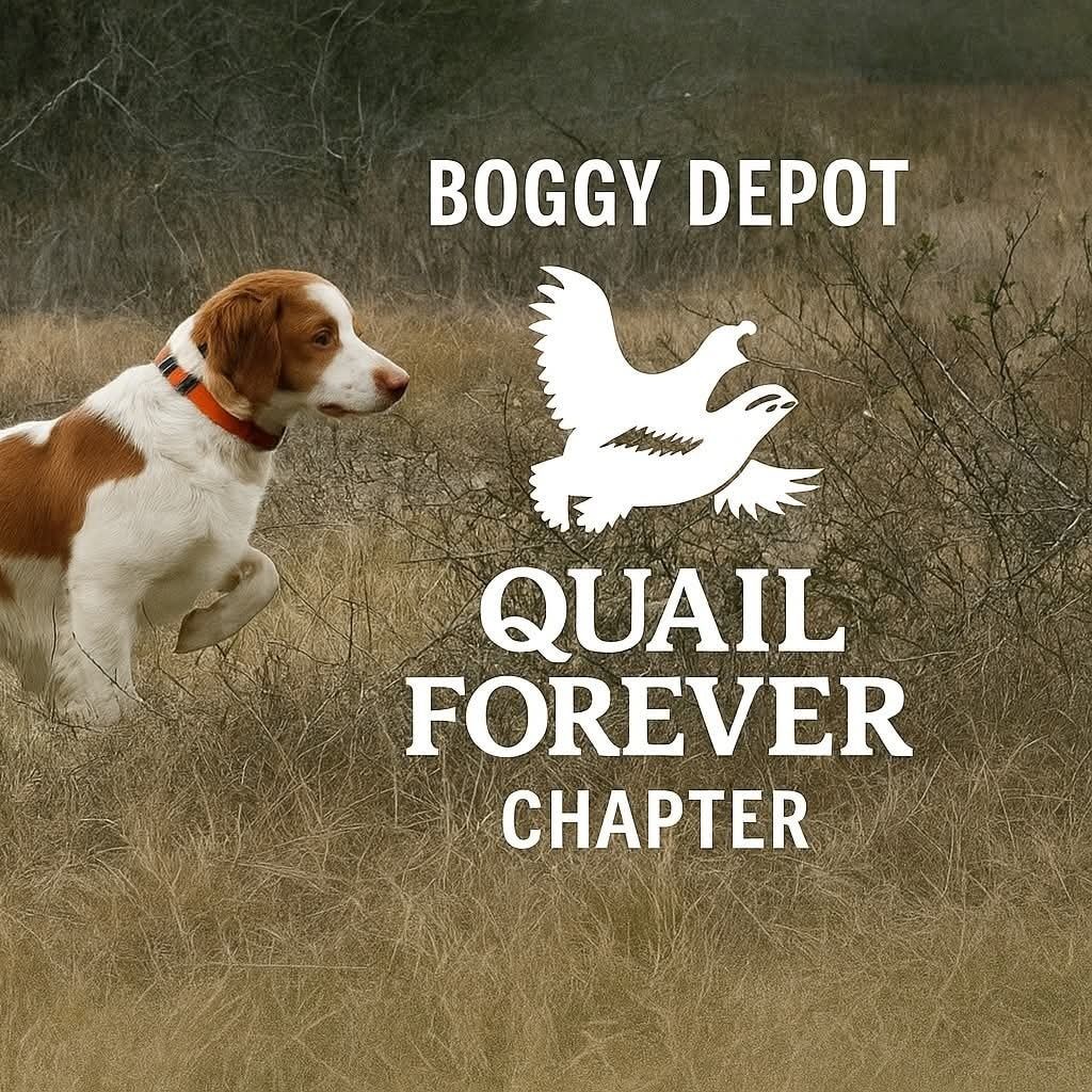 Boggy Depot Quail Forever Chapter Logo
